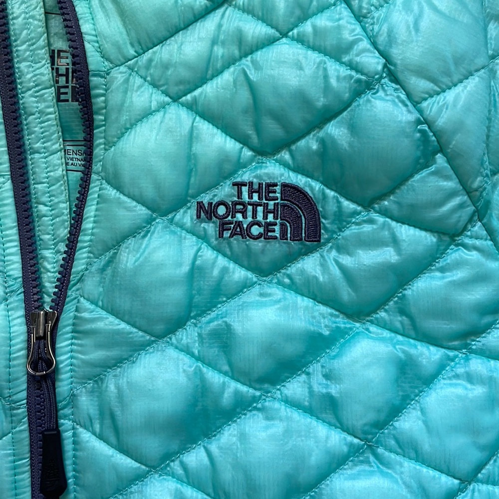 The North Face down winter jacket